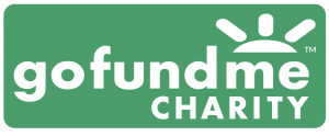 gofundme copy 300x124 1