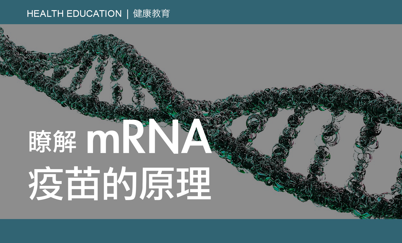 Health Education - mRNA