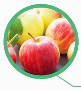 Health Education