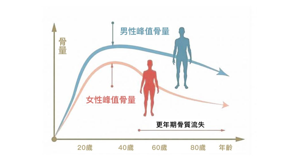 骨密度峰值