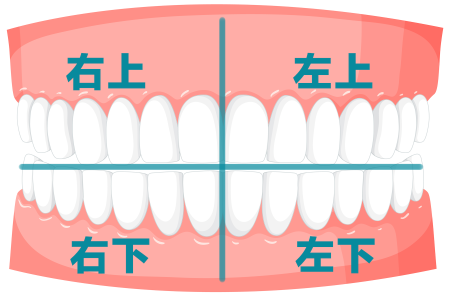 CHAMP 健康月壇 | August Dental Health
