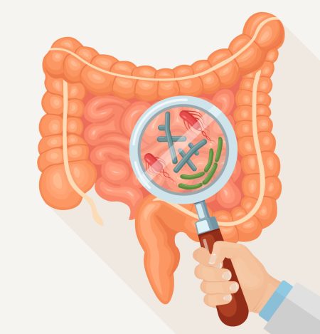 CHAMP 健康月壇 | June Men's Gastrointestinal Health 腸道益菌